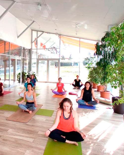 Алтын Қарғалы-8